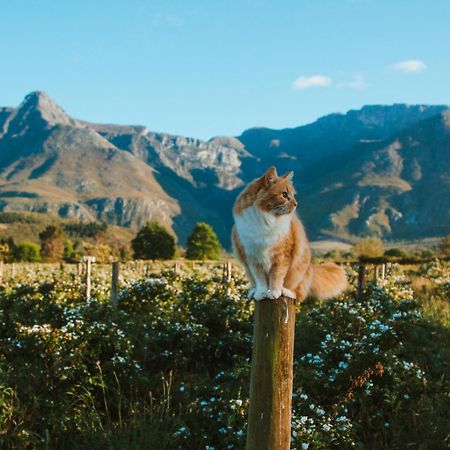 Willa Wildebraam Berry Estate Swellendam Zewnętrze zdjęcie
