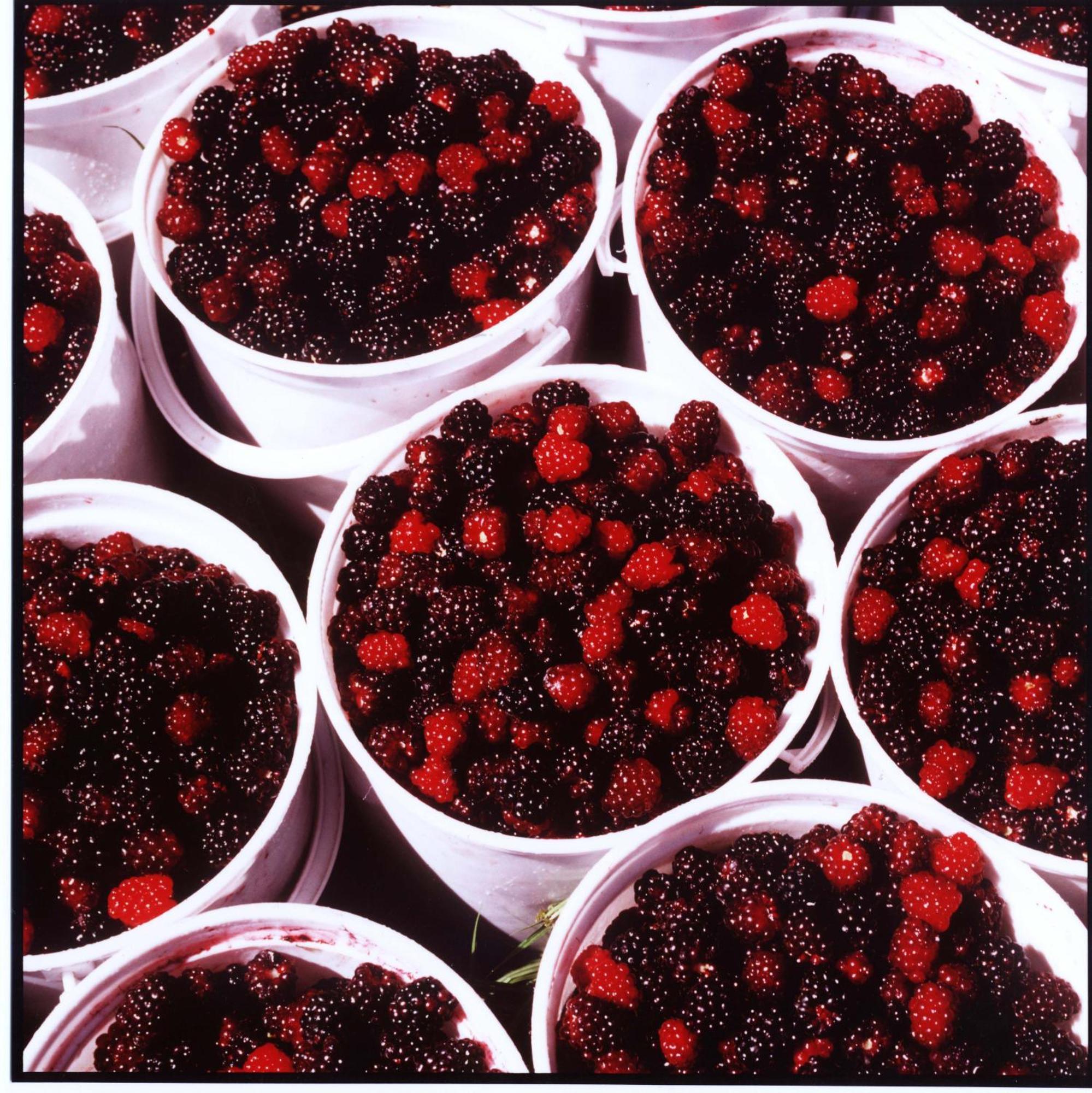 Willa Wildebraam Berry Estate Swellendam Zewnętrze zdjęcie